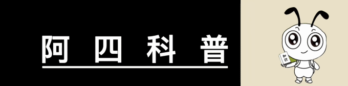 Stable Diffusion：理解与解决安装问题-JieYingAI捷鹰AI