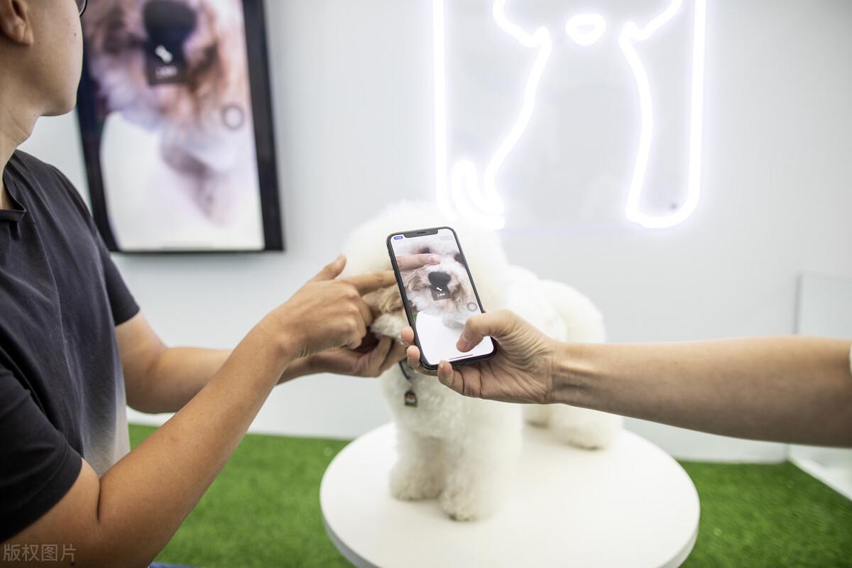 移动开发前端_前端移动开发面试题_前端与移动开发是干什么的