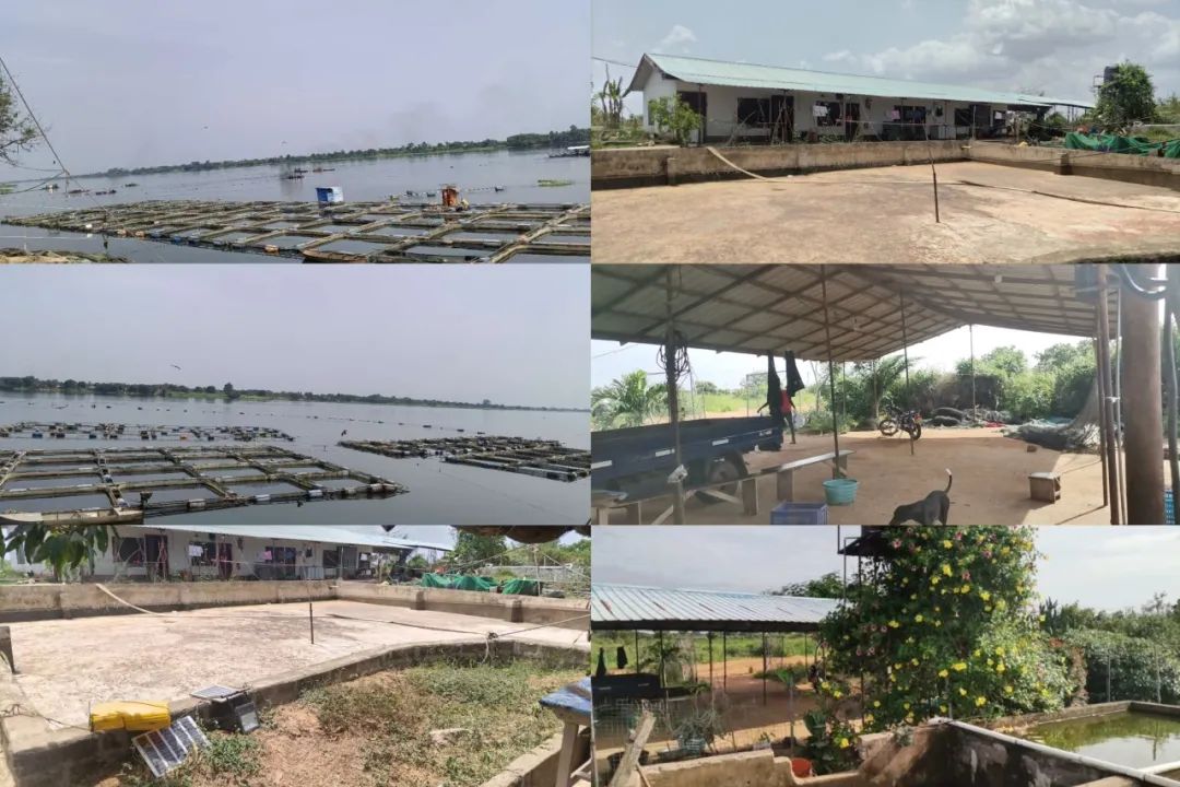 营销型网站方案_营销型网站一站式服务_营销型网站建设解决方案