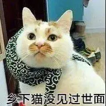 微调和整容的区别_ChatGPT微调_预调微调