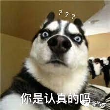 通义千问_阿里千义通问_问求泉州通淮关岳庙98