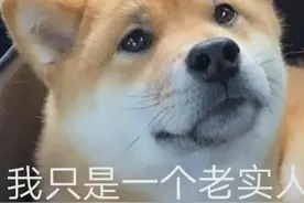 问求泉州通淮关岳庙98_通义千问_阿里千义通问