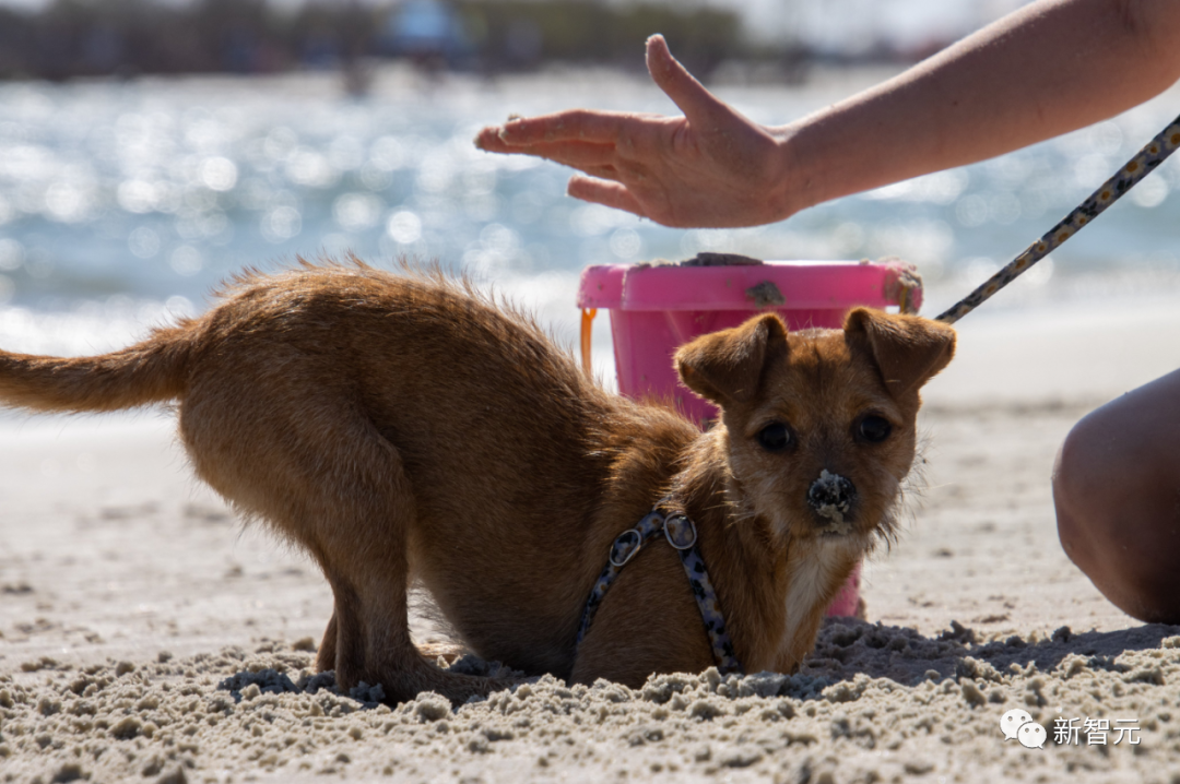 Midjourney描述词_描述性词汇有哪些_描述词什么意思