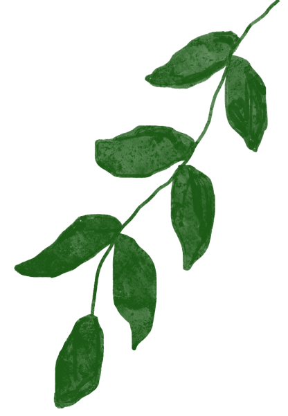 前端开发与后端开发的区别_前端开发和后端开发哪个好些_开发前端后端区别