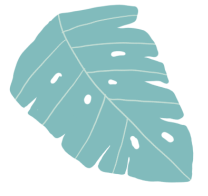 web前端开发软件技术培训_web前端开发工程师培训学校_web前端开发技术培训