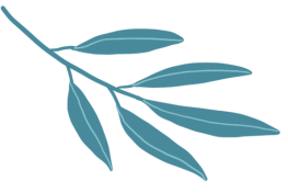 web前端开发技术培训_web前端开发软件技术培训_web前端开发工程师培训学校