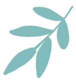 web前端开发工程师培训学校_web前端开发技术培训_web前端开发软件技术培训