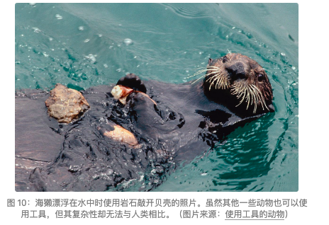 语言大学_语言大师_LLM大语言