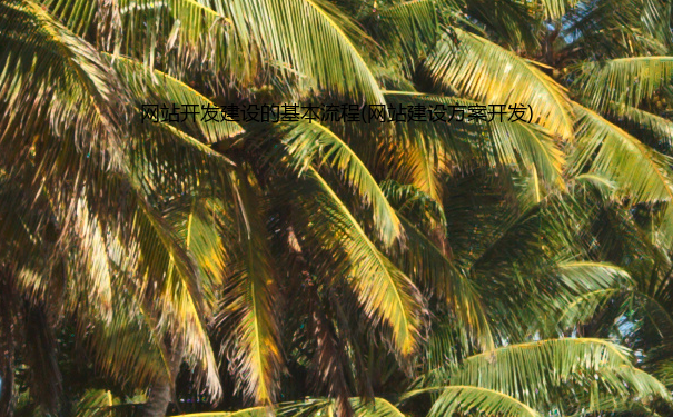 网站开发建设的基本流程(网站建设方案开发)-JieYingAI捷鹰AI