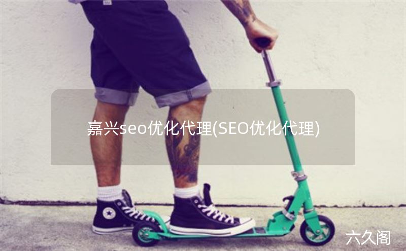 嘉兴seo优化代理(SEO优化代理)-JieYingAI捷鹰AI