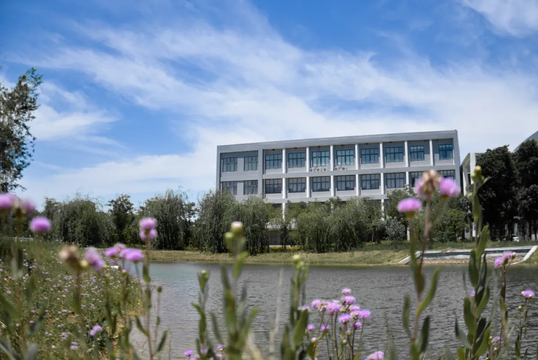 自学前端开发书籍有哪些_web前端开发自学_自学前端开发找不到工作