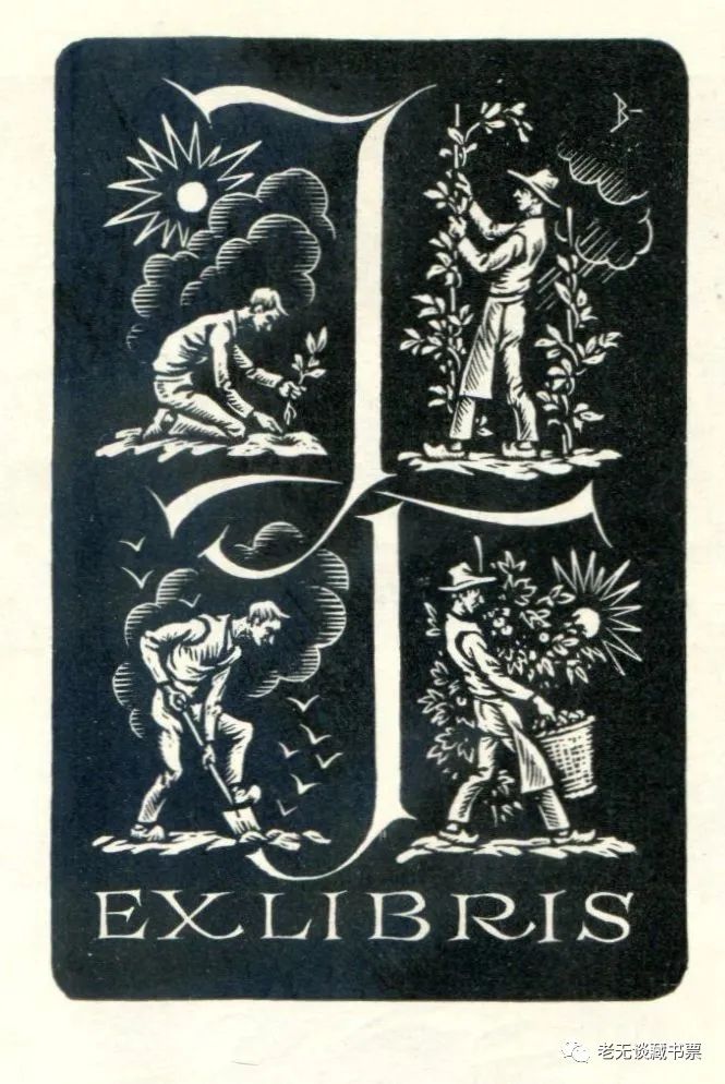 ChatGPT微调_af微调_微调英文