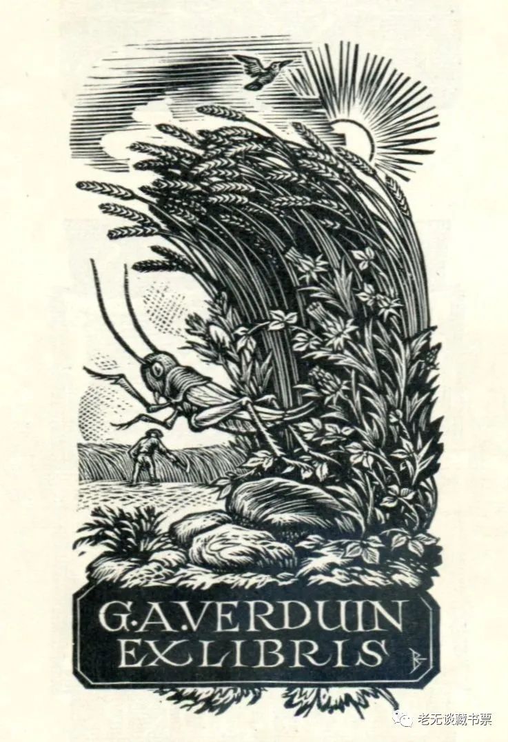 af微调_ChatGPT微调_微调英文