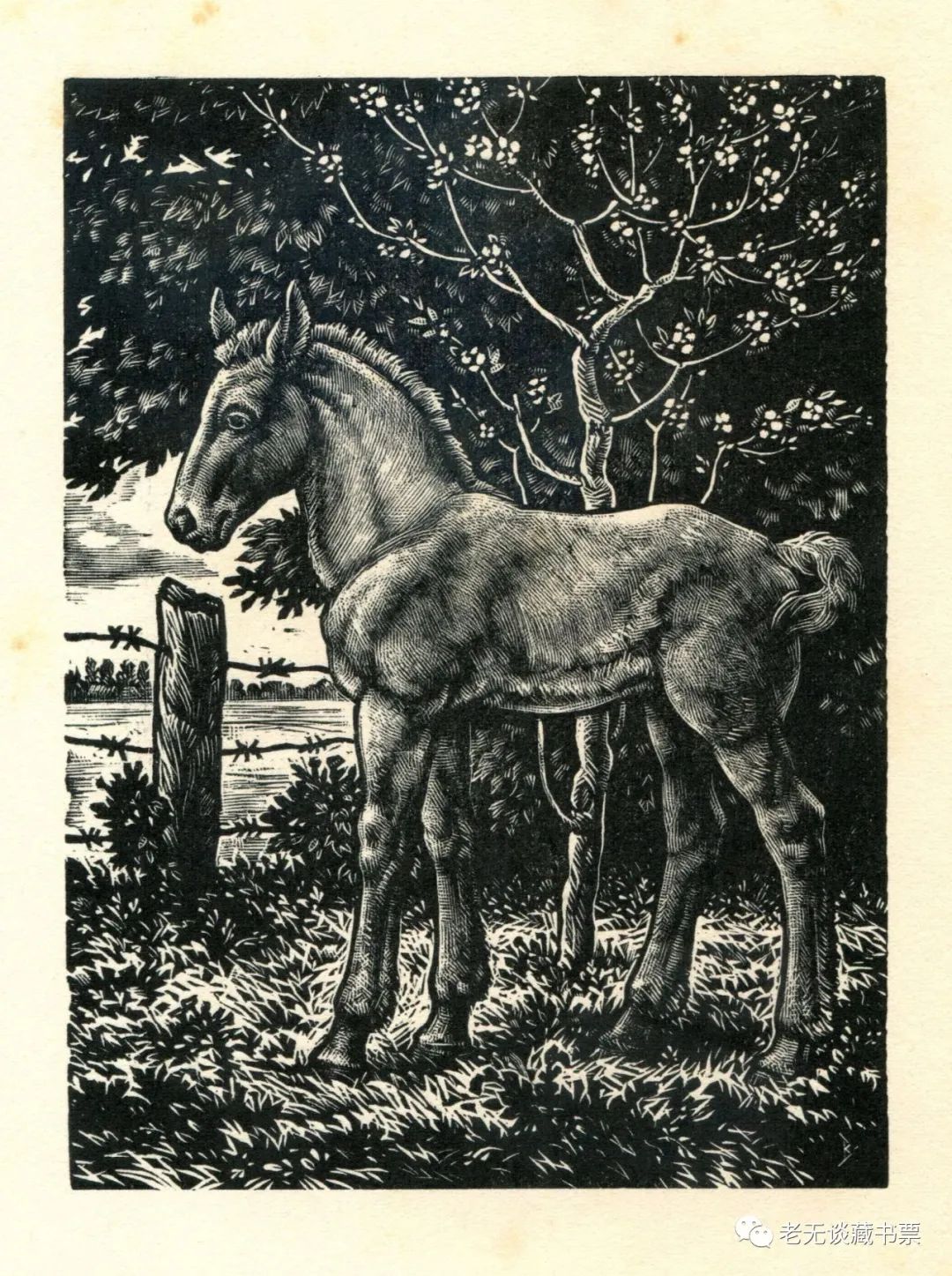 ChatGPT微调_af微调_微调英文