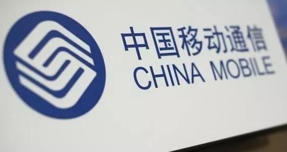 电子政务运营_电子政务系统的运维过程与方法_中国电子政务运维管理