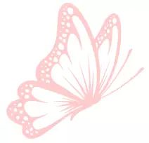 seo怎么做优化方案_seo如何进行优化_seo优化怎么样