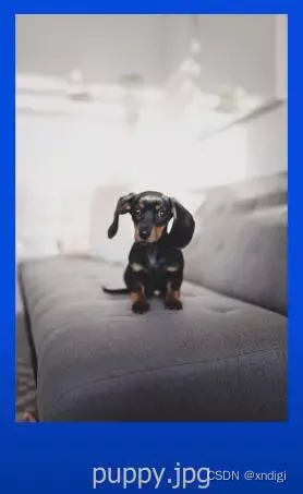 页面优化模板_seo页面优化方案_页面优化建议