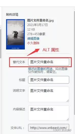 seo页面优化方案_页面优化建议_页面优化模板