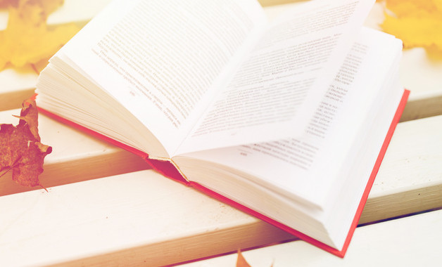 网络营运专员岗位职责-JieYingAI捷鹰AI