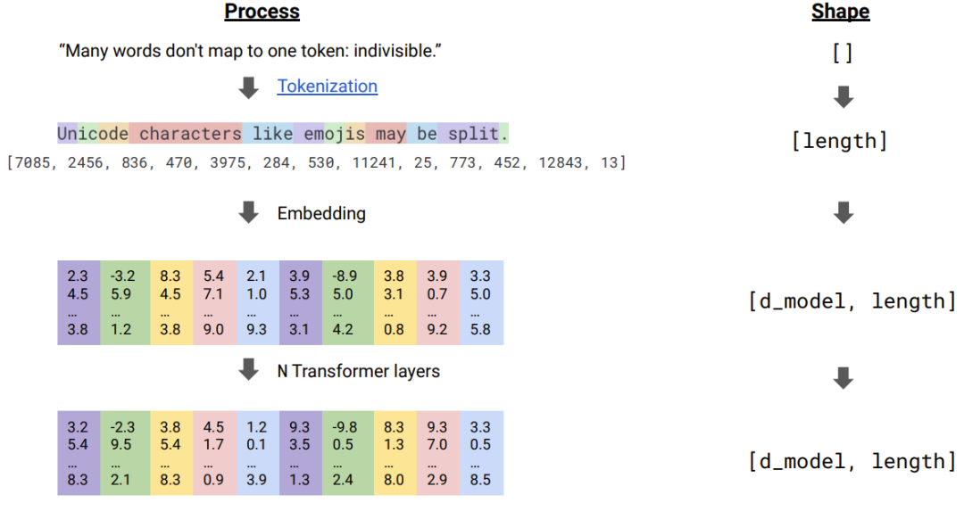 LLM大语言_语言大脑区域_语言大数据创新实验班