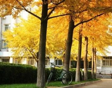 太原seo外包平台_太原seo外包服务公司_太原app外包