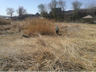 模板运营周报网站工作总结_网站运营工作周报模板_模板运营周报网站工作内容