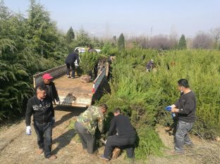 网站运营工作周报模板_模板运营周报网站工作内容_模板运营周报网站工作总结