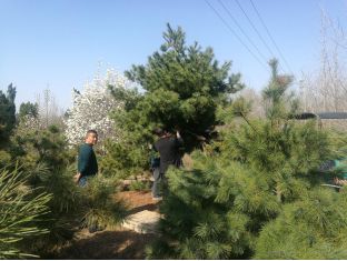 网站运营工作周报模板_模板运营周报网站工作总结_模板运营周报网站工作内容