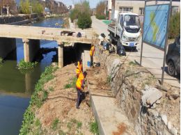 模板运营周报网站工作总结_网站运营工作周报模板_模板运营周报网站工作内容