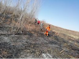 模板运营周报网站工作内容_模板运营周报网站工作总结_网站运营工作周报模板