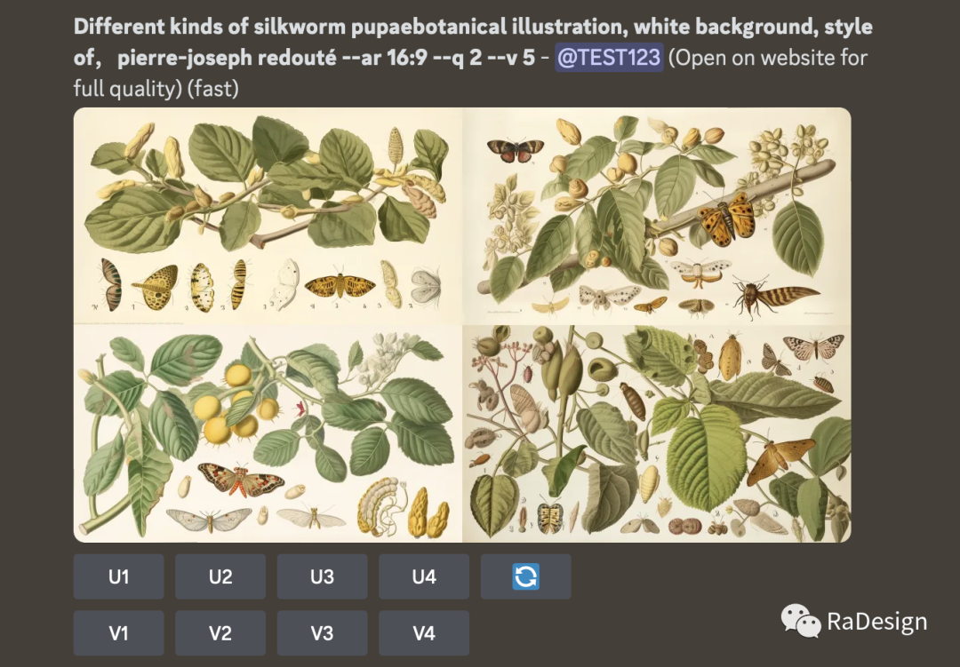 茶叶的味道描述词_秋天的描述词_Midjourney描述词