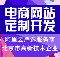专业营销型网站定制_定制营销型网站建设_定制营销网站型专业就业前景