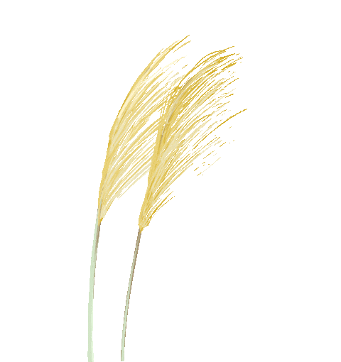 可视化运维管理平台_运维可视化管理平台有哪些_运维可视化管理平台官网