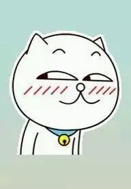 前端开发web开发培训_前端开发web版word_web前端开发