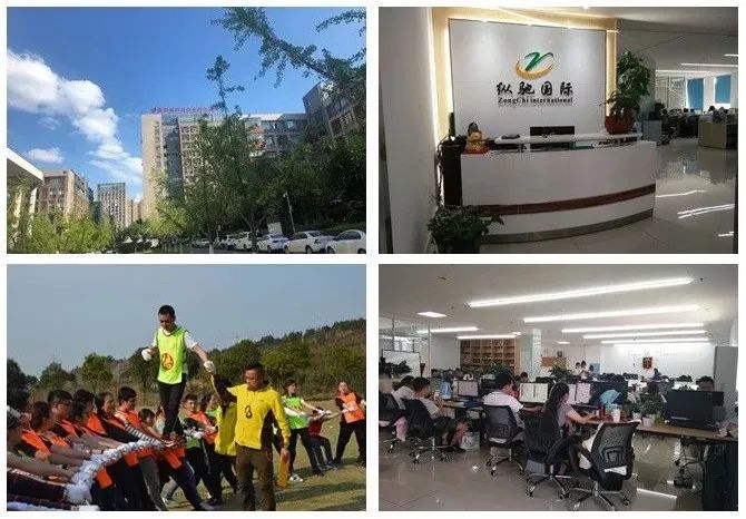 推广运营方案网站网络怎么写_网站推广营销运营方式_网站运营与网络推广方案