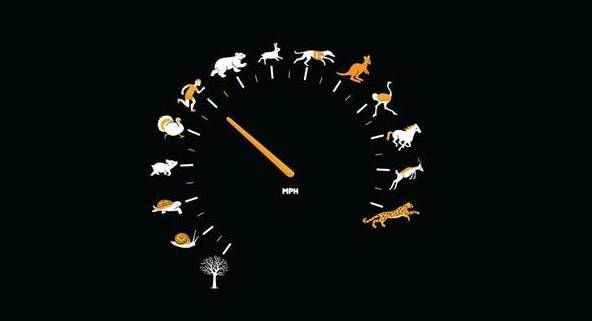 建站营销网站型公司是什么_建站营销网站型公司有哪些_营销型网站建站公司