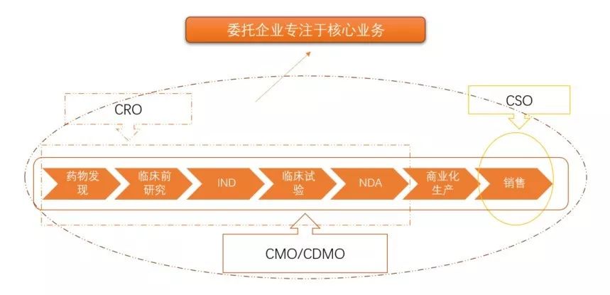 新药研发ＣＲＯ／CMO／CDMO最佳服务商评选-JieYingAI捷鹰AI