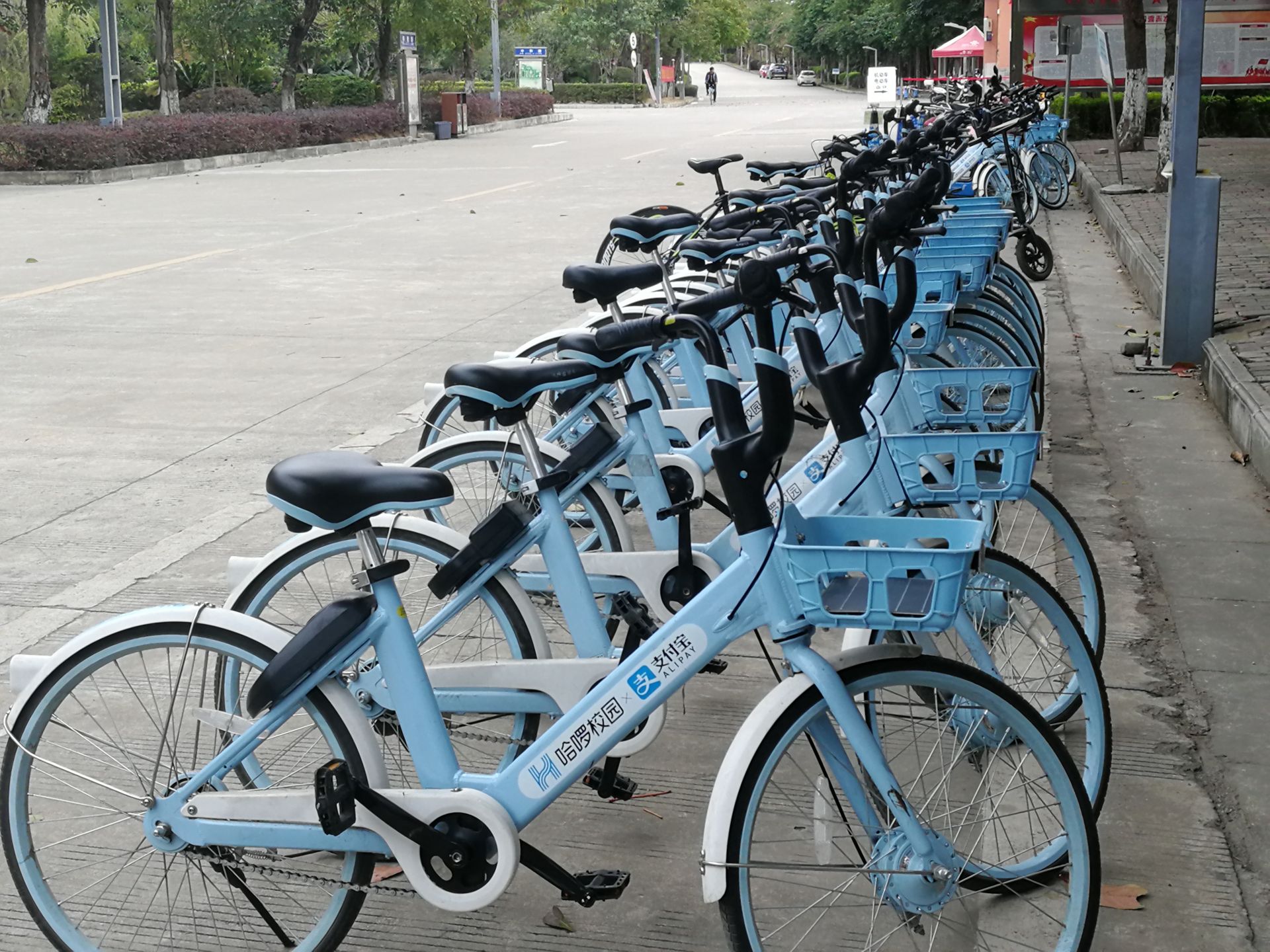 运维开发与运维有何区别_运维与开发_开发兼运维