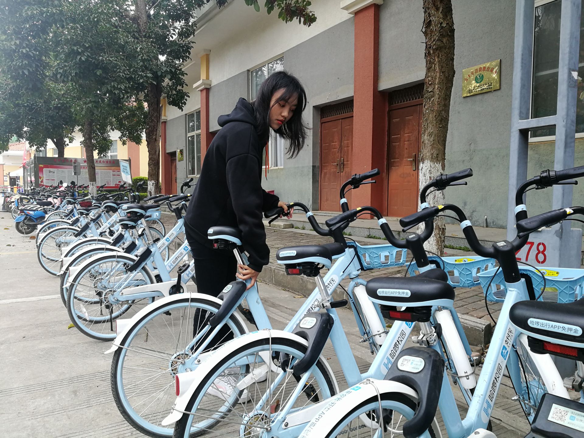 运维与开发_运维开发与运维有何区别_开发兼运维