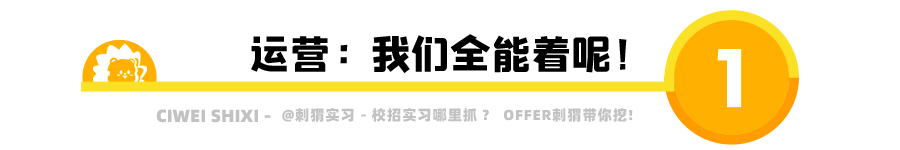 招聘运营网站要求是什么_网站运营人员招聘要求_网站运营招聘要求