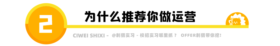 网站运营招聘要求_招聘运营网站要求是什么_网站运营人员招聘要求