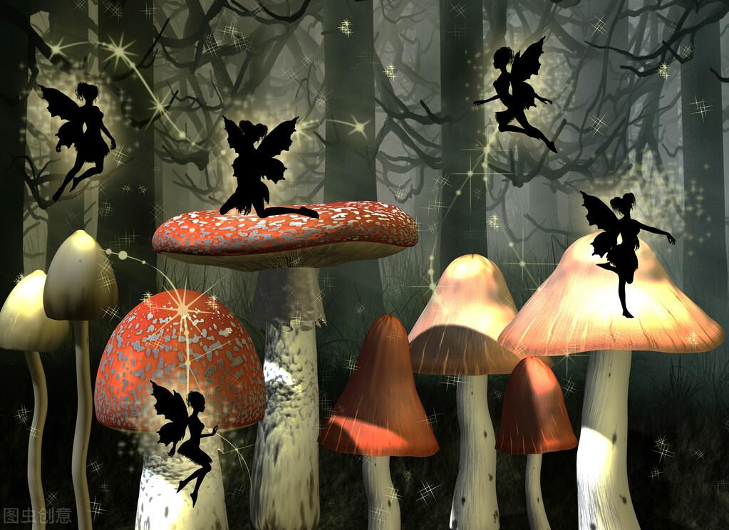 游戏后端开发用什么语言_游戏开发后端_游戏后端开发