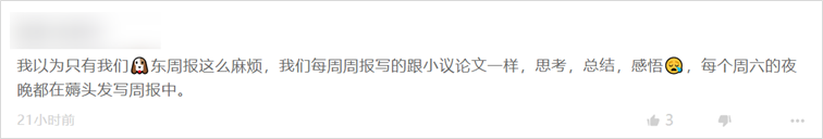 模板运营周报网站工作内容_运营周报需要呈现内容_网站运营工作周报模板
