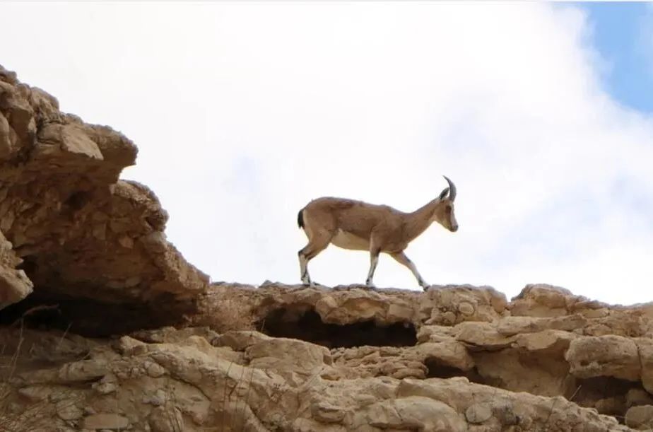 服务网站运营方案_运营方案网站服务内容_运营方案设计模板