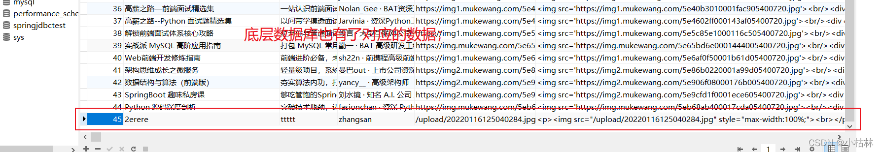 后端开发书籍_书籍后端开发方案_后端开发书籍