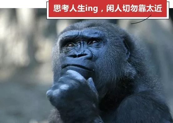 网站运营策划方案书_策划运营方案怎么做_策划书运营计划怎么写