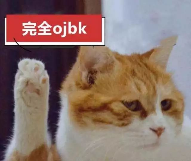 网站运营策划方案书_策划书运营计划怎么写_策划运营方案怎么做