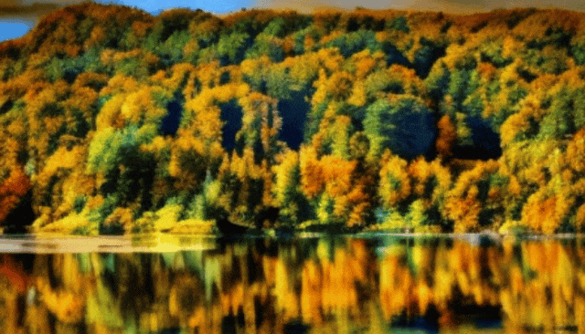 语言大师_语言大模型_LLM大语言