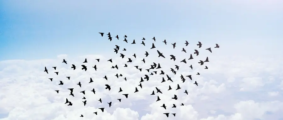 前端机器开发人员配置_前端开发机器人_前端开发人员