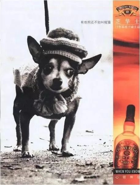 什么叫人性营销_人性运营网站官网_网站运营之人性